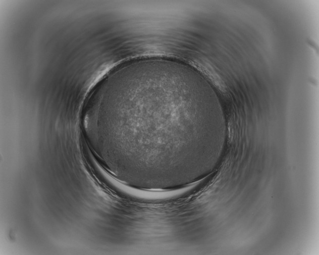 X0000091290436200708171349