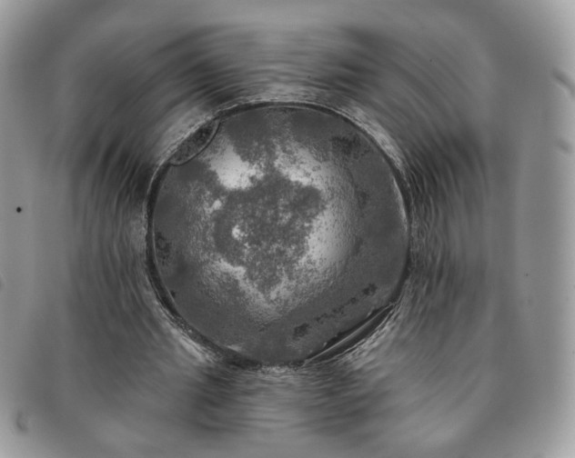 X0000091290437200708171349