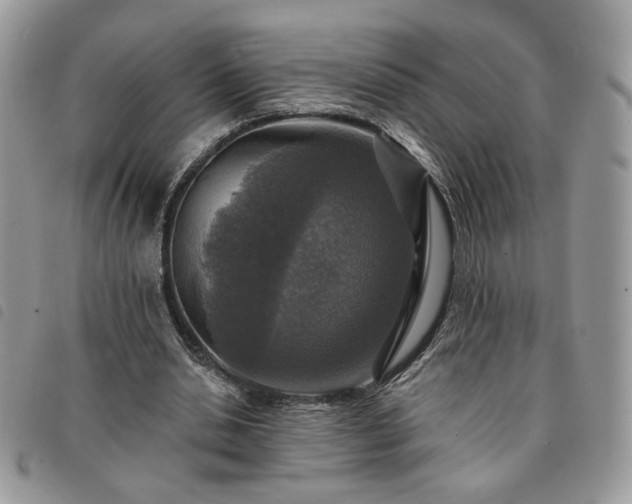 X0000091290438200708171349