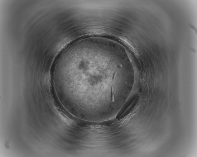 X0000091290439200708171349