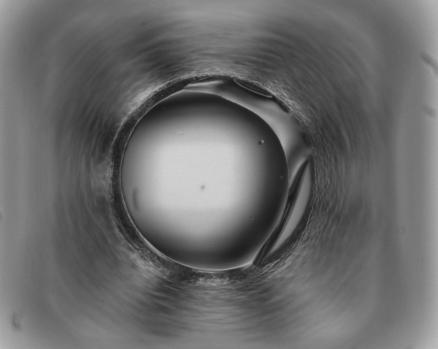 X0000091290440200708171349