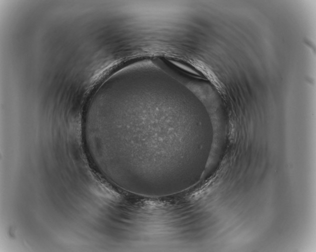 X0000091290442200708171349