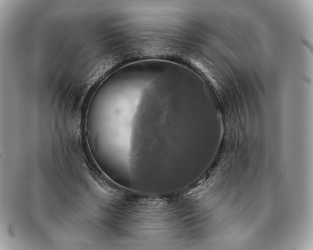 X0000091290443200708171349