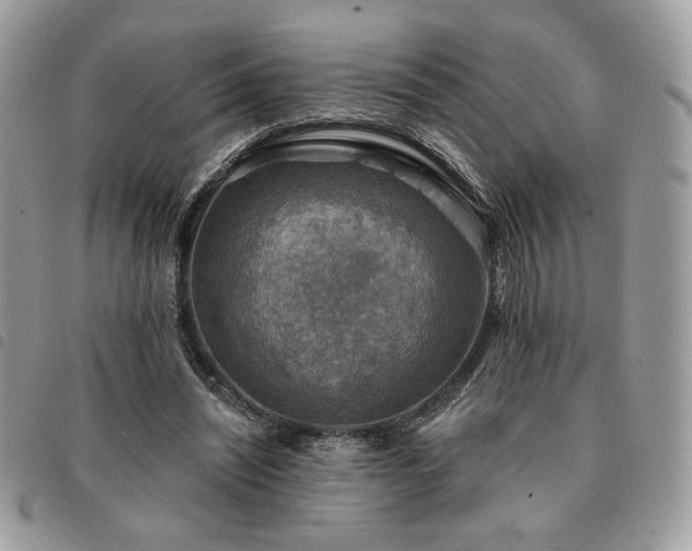 X0000091290444200708171349