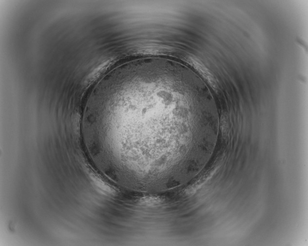 X0000091290445200708171349