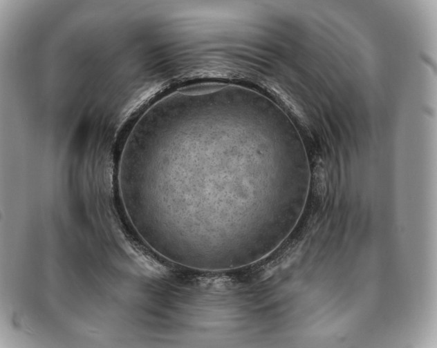 X0000091290446200708171349