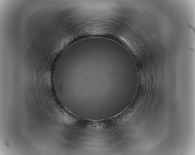 X0000091290447200708171349