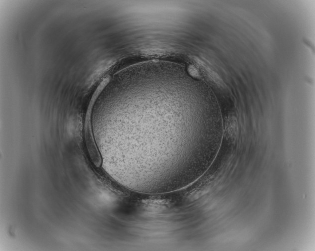 X0000091290448200708171349