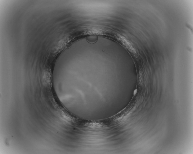 X0000091290449200708171349