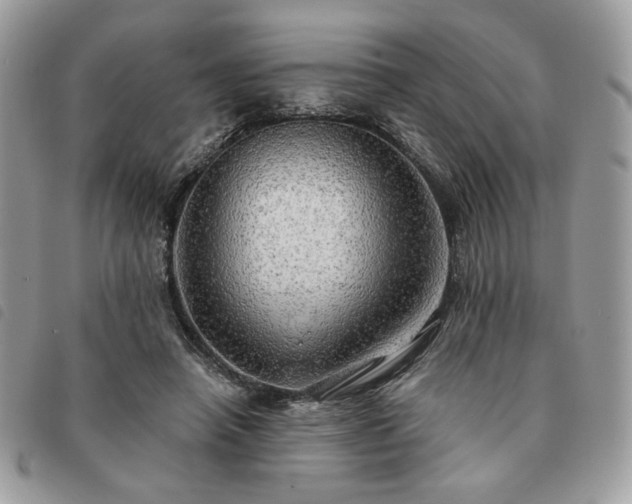 X0000091290450200708171349