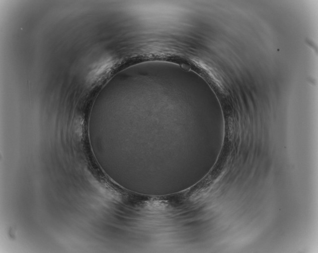 X0000091290451200708171349