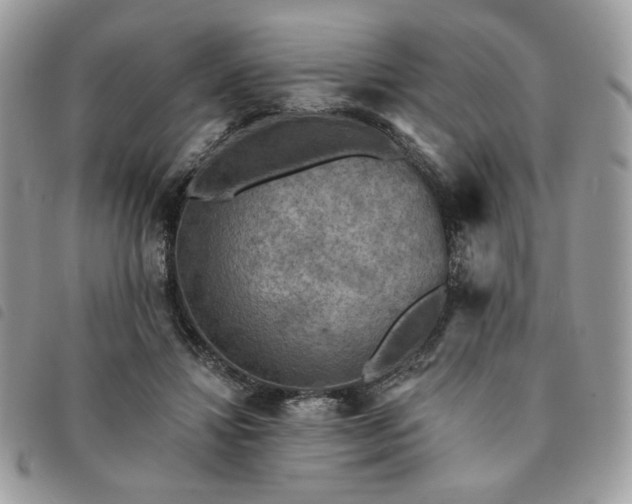 X0000091290452200708171349