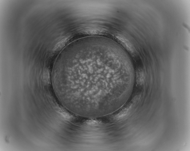 X0000091290453200708171349