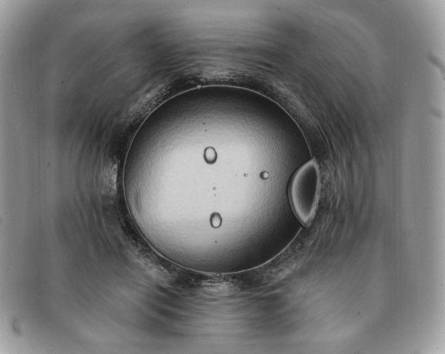 X0000091290454200708171349