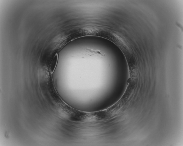 X0000091290456200708171349