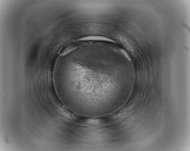 X0000091290457200708171349