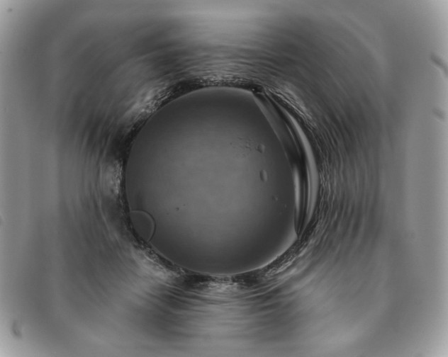 X0000091290458200708171349