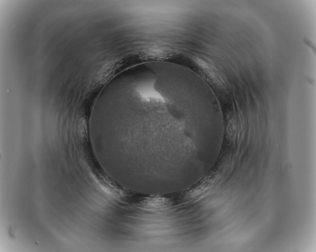 X0000091290459200708171349