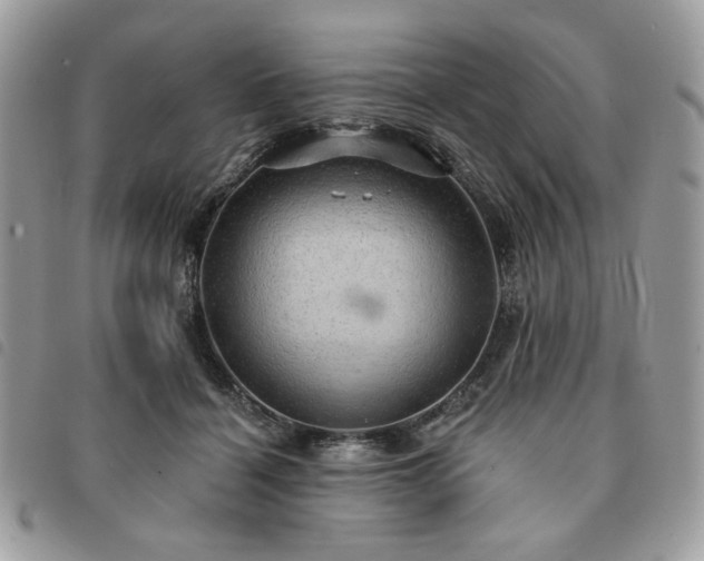 X0000091290460200708171349