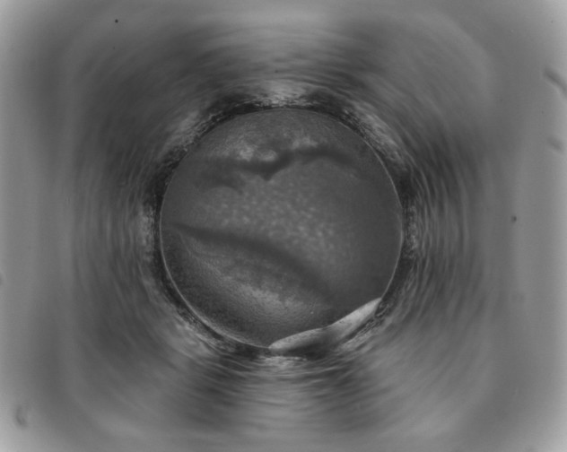 X0000091290461200708171349