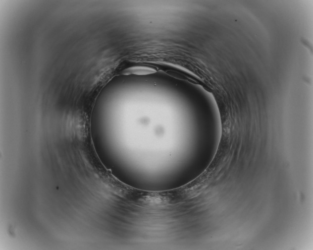 X0000091290464200708171349