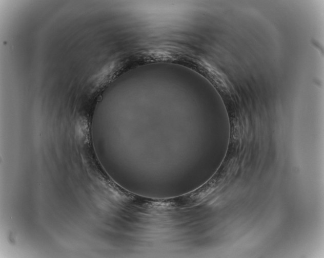 X0000091290465200708171349