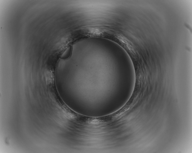 X0000091290467200708171349