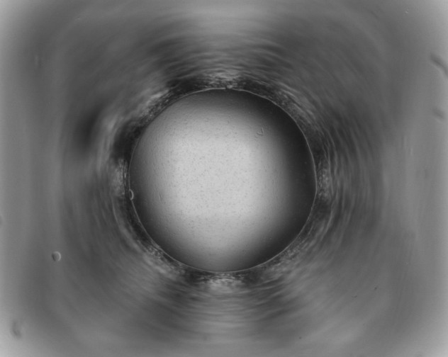 X0000091290468200708171349