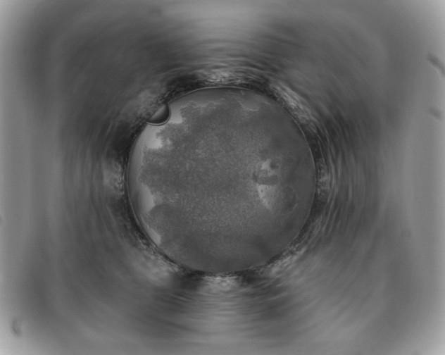 X0000091290469200708171349