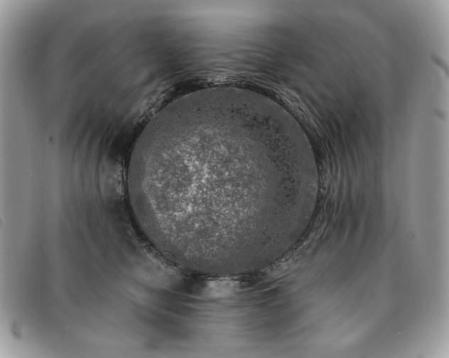 X0000091290470200708171349