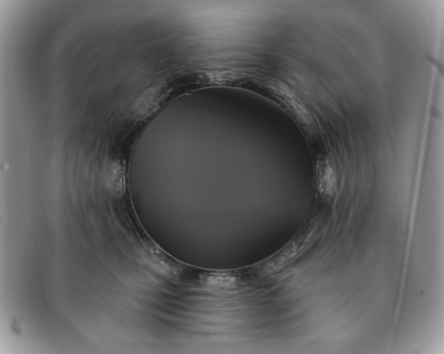 X0000091290471200708171349