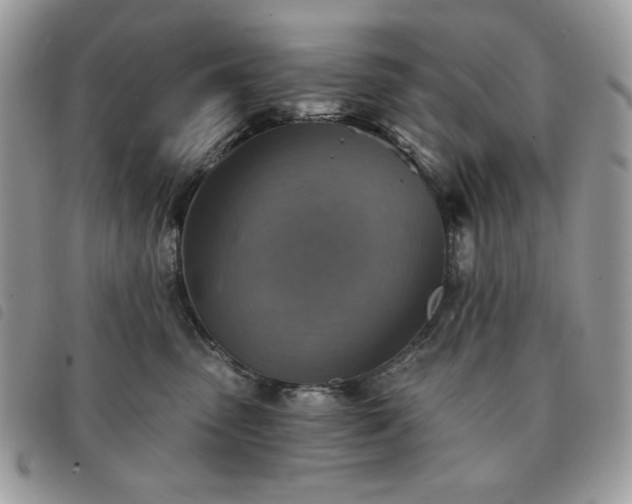 X0000091290475200708171349