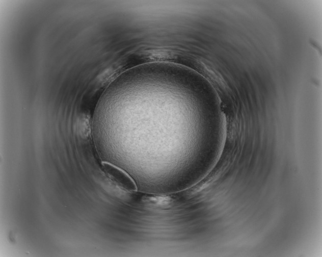 X0000091290478200708171349