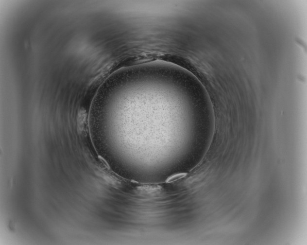 X0000091290480200708171349