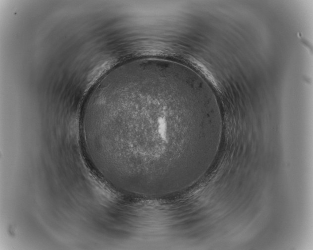 X0000091290482200708171349