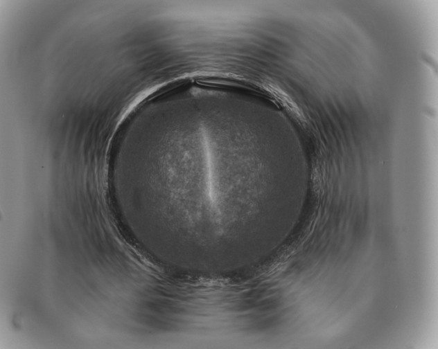 X0000091290484200708171349