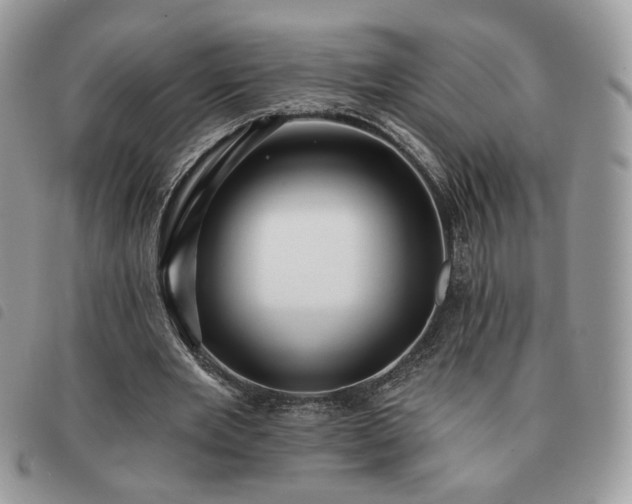 X0000091290485200708171349