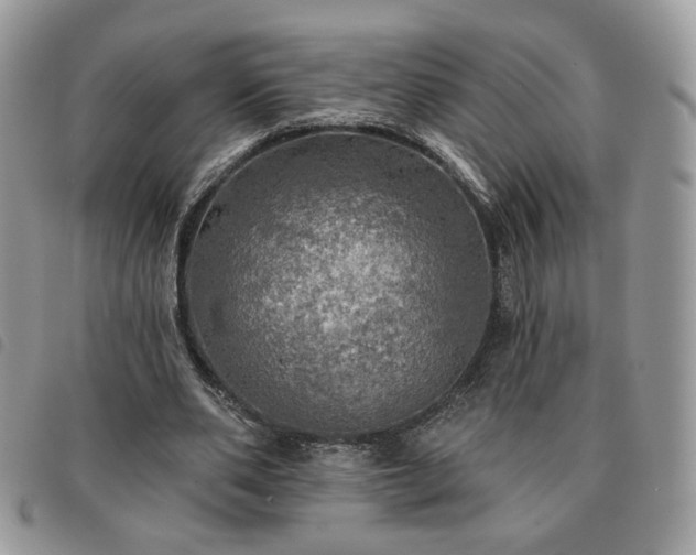 X0000091290486200708171349