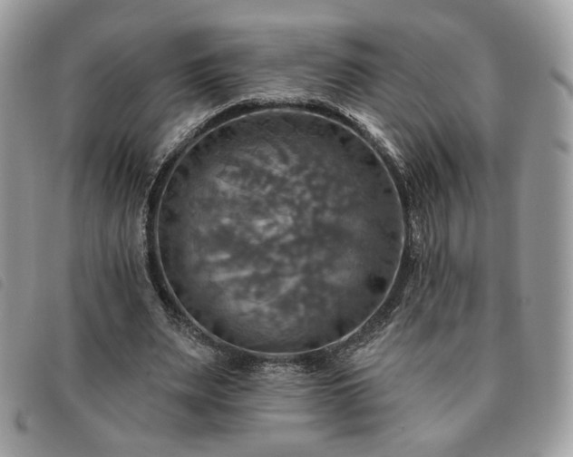 X0000091290487200708171349