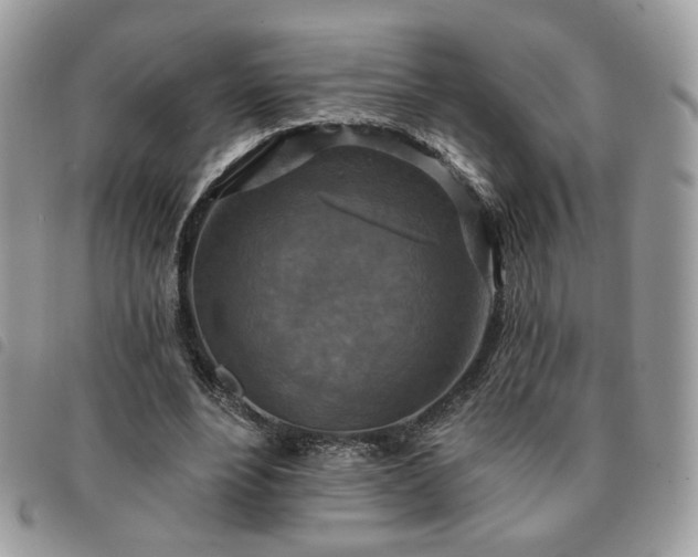 X0000091290488200708171349