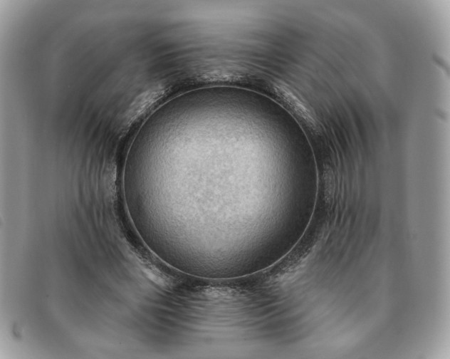 X0000091290490200708171349