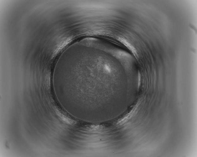 X0000091290493200708171349