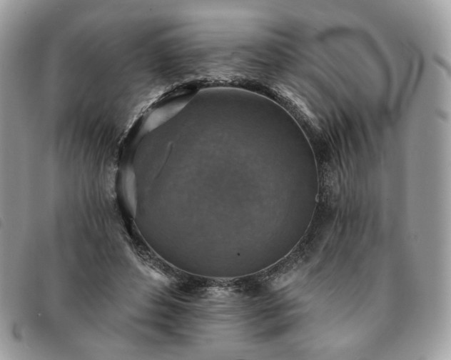 X0000091290496200708171348