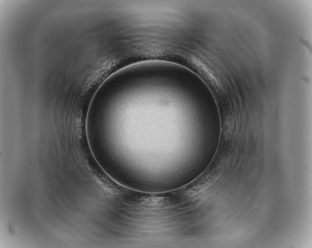 X0000091290497200708171348