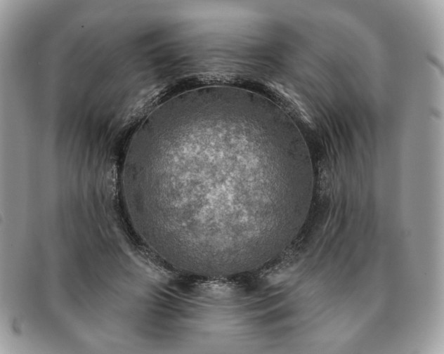 X0000091290498200708171348