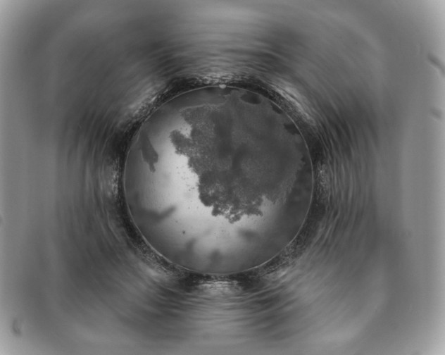 X0000091290499200708171348