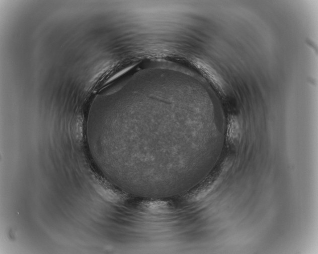 X0000091290501200708171348