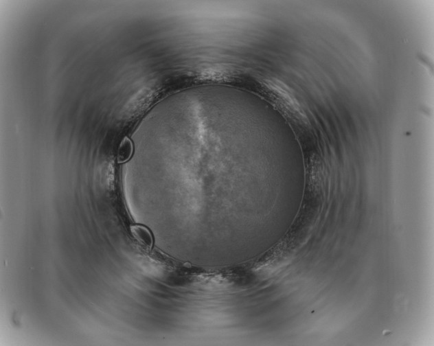 X0000091290502200708171348