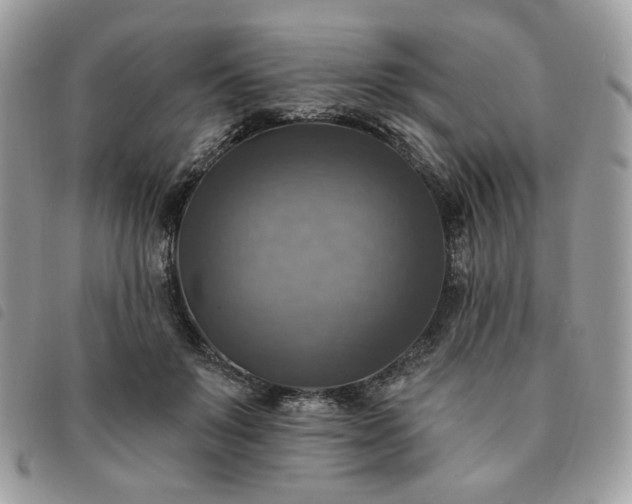 X0000091290503200708171348