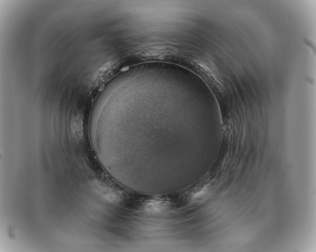 X0000091290504200708171348